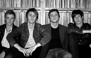 THE VINYL JUNKIES