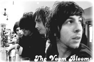 THE VOOM BLOOMS
