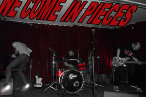 WE COME IN PIECES